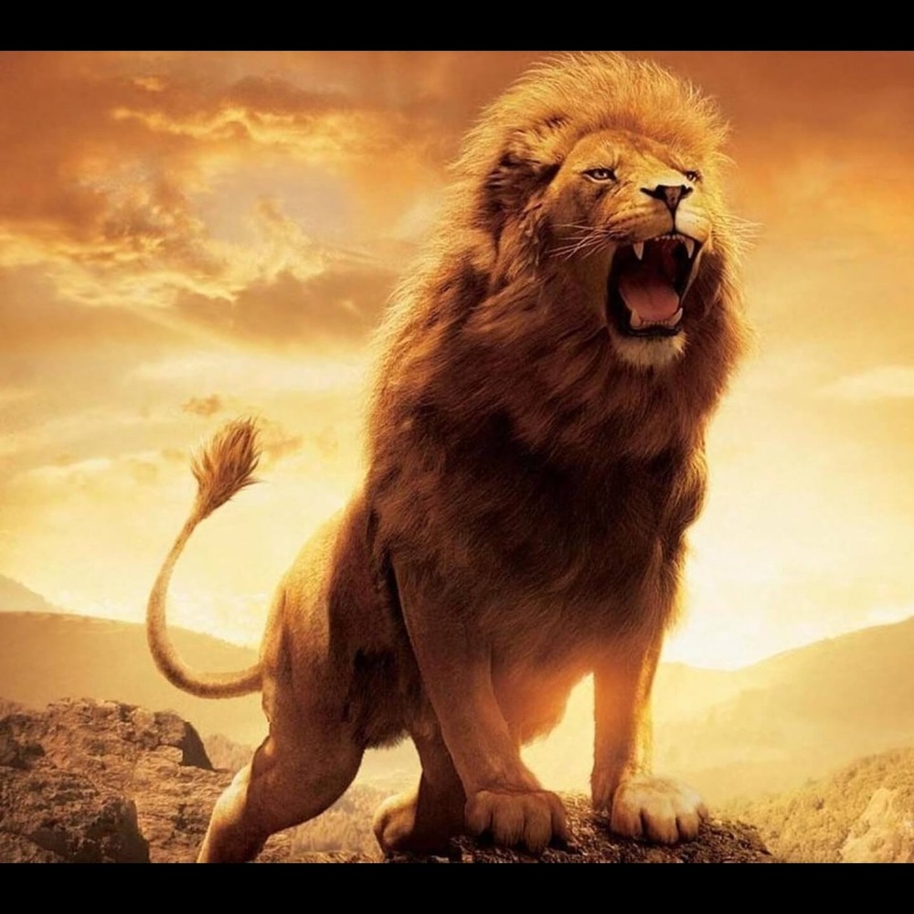 Meet your Posher, Wael